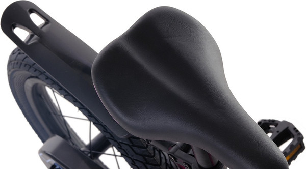 Детский велосипед Maxiscoo Jazz Стандарт Плюс 2024 / MSC-J1632