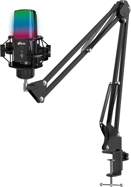 Микрофон Ritmix RDM-270