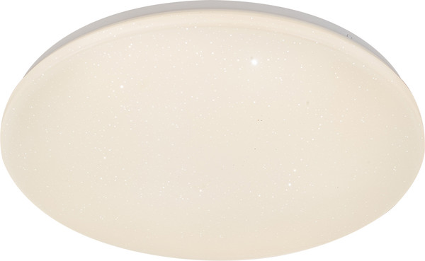 Потолочный светильник ESCADA 10216/SG LED APP - фото