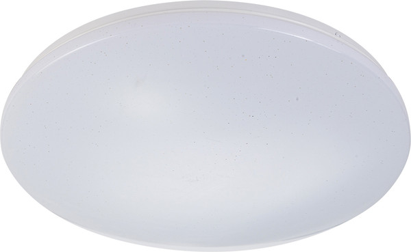 Потолочный светильник ESCADA 10216/SG LED APP