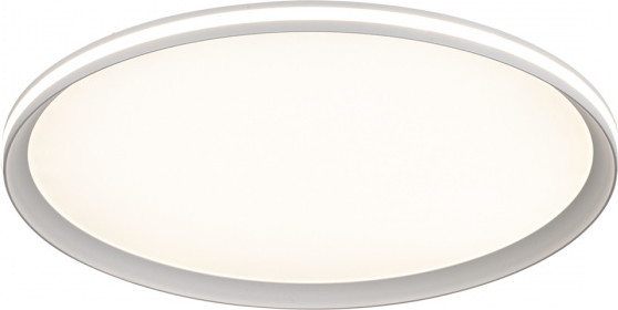 Потолочный светильник Sonex Beta 7749/80L