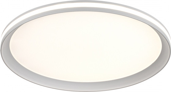 Потолочный светильник Sonex Beta 7749/60L