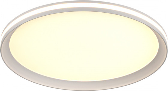 Потолочный светильник Sonex Beta 7749/60L