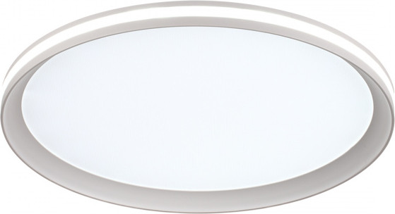 Потолочный светильник Sonex Beta 7749/60L