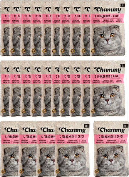 Влажный корм для кошек Chammy С говядиной в соусе / F18247 - фото
