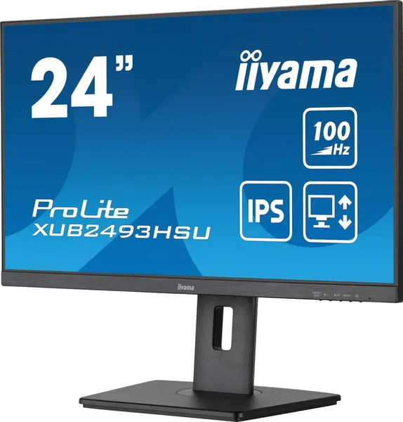 Монитор Iiyama ProLite XUB2493HSU-B7