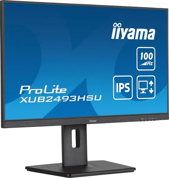 Монитор Iiyama ProLite XUB2493HSU-B7