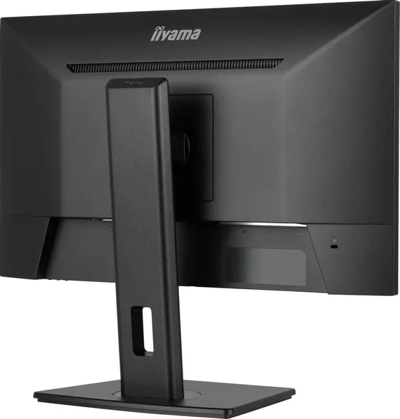 Монитор Iiyama ProLite XUB2493HSU-B7