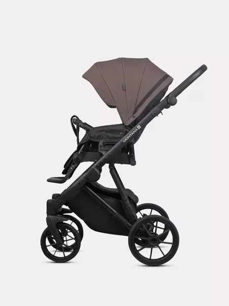 Детская универсальная коляска Riko Montana X 2 в 1