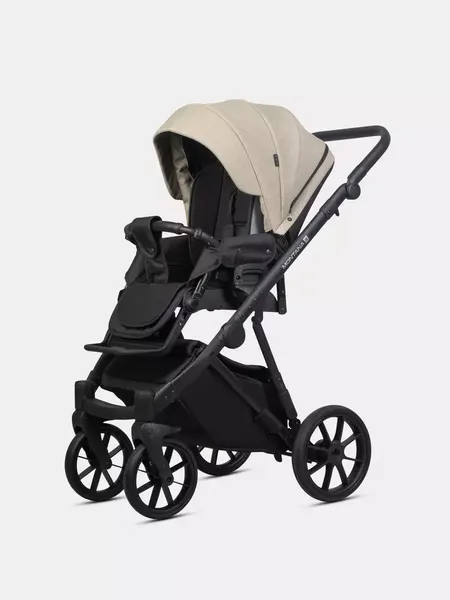 Детская универсальная коляска Riko Montana X 2 в 1