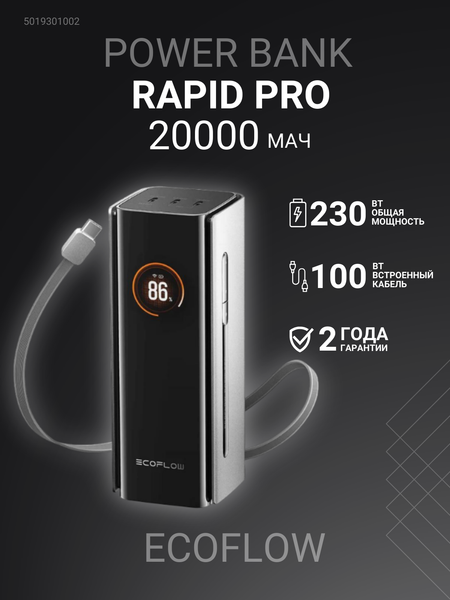 Портативное зарядное устройство EcoFlow Rapid Pro
