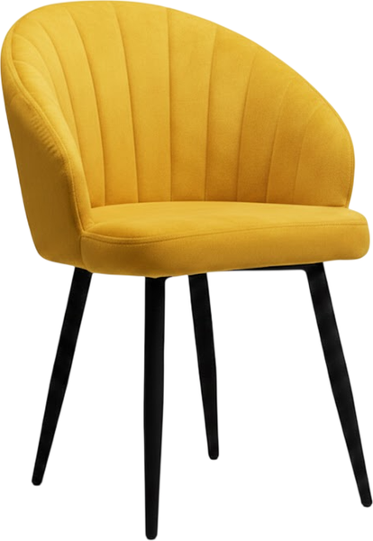 Стул Памир Зефир F42 - фото