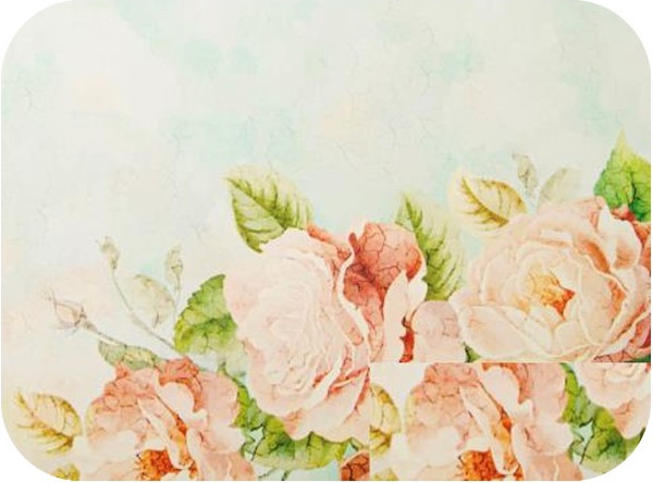 Коврик для сушки посуды SWENSA Fresco 30x40см / SWKN-FRESCO-3040 - фото