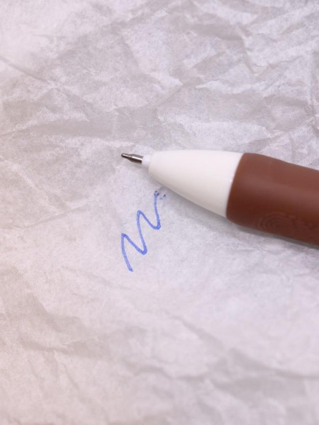 Набор шариковых ручек ILikeGift Gourmet capybara / Z-10384