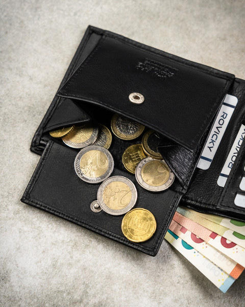 Портмоне Cedar Rovicky 0670-RVD