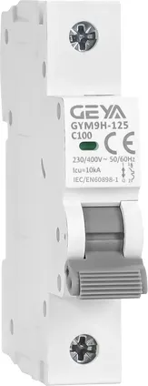Выключатель автоматический Geya GYM9H-125-1P-125C - фото
