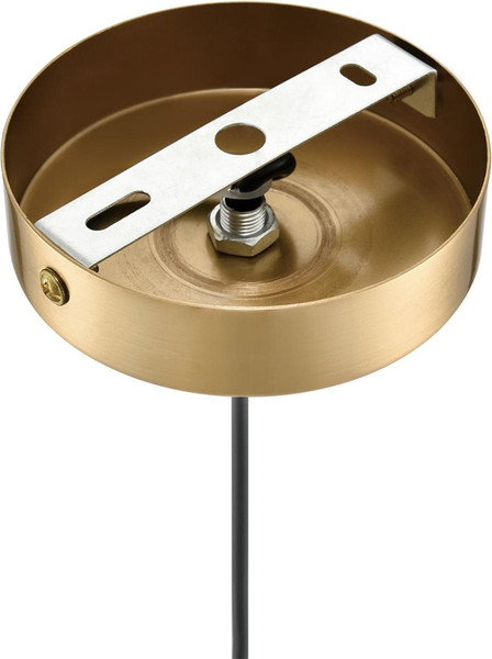 Потолочный светильник Lumion Derbi 8284/1A