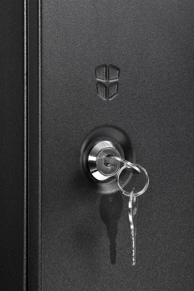 Шкаф телекоммуникационный ЦМО ШРН-Э-9.650.1-9005