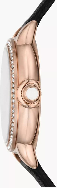 Часы наручные женские Emporio Armani AR11598