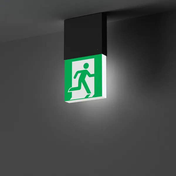 Светильник аварийный Arlight EMG-MARK-M-3H-BK / 057966