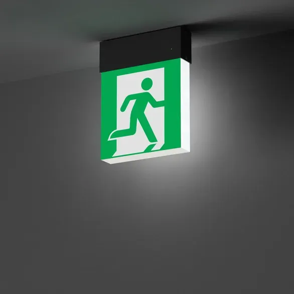 Светильник аварийный Arlight EMG-MARK-S-3H-BK / 059801