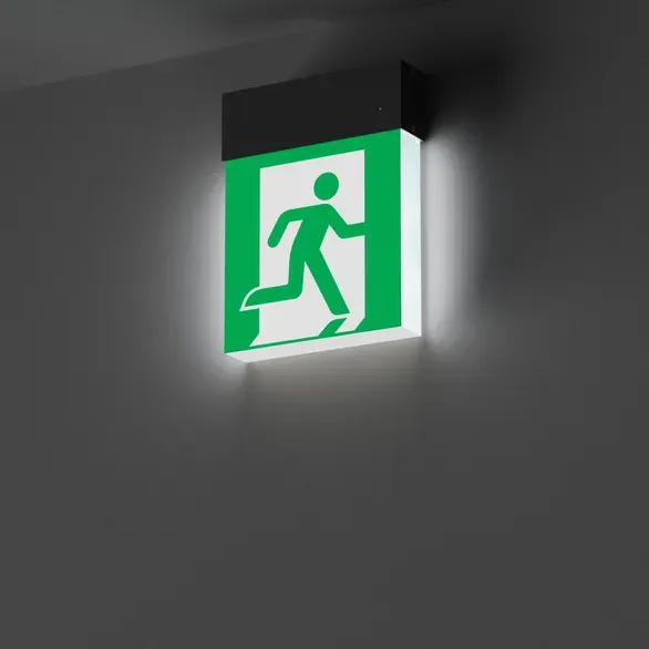 Светильник аварийный Arlight EMG-MARK-S-3H-BK / 059801