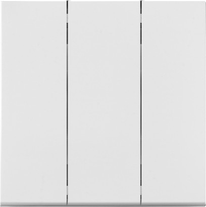 Выключатель Bylectrica С05 10-3605 - фото