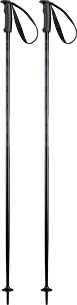 Горнолыжные палки Elan Hotrod 2025-2026 / CD633023-120 - фото