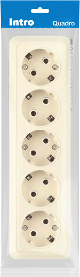 Розетка INTRO Quadro 2-210-02 / Б0053858