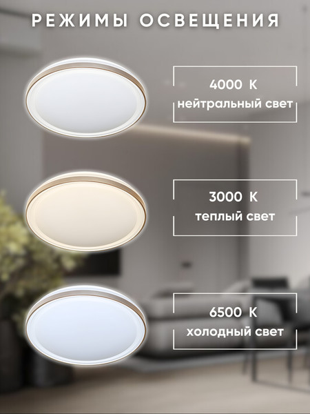 Потолочный светильник Aitin-Pro HY61516 2x60Вт D500