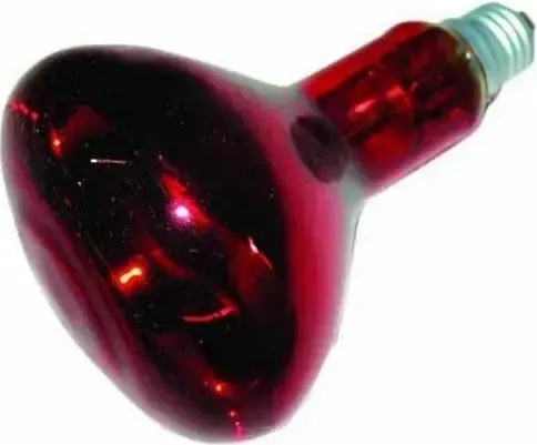 Лампа TDM SQ0343-0034 - фото