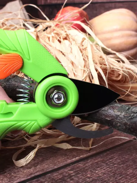 Секатор механический Garden Show Malus L17.5см