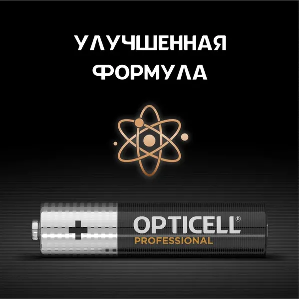 Комплект батареек Opticell Professional AAA 5052008