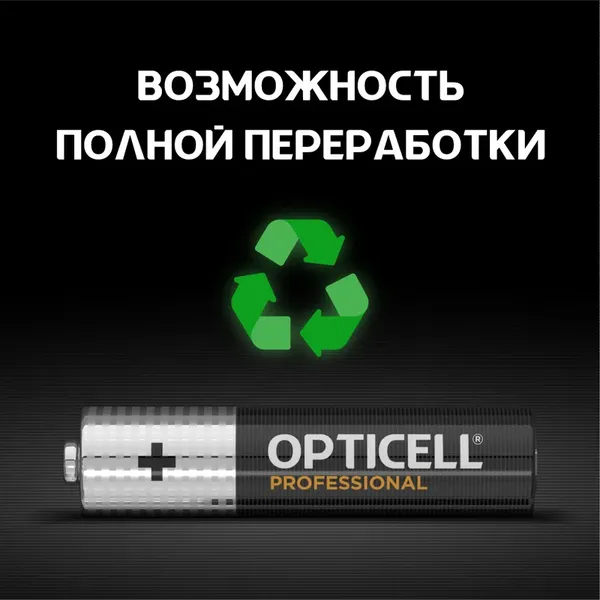 Комплект батареек Opticell Professional AAA 5052008