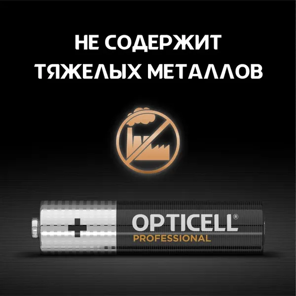 Комплект батареек Opticell Professional AAA 5052008