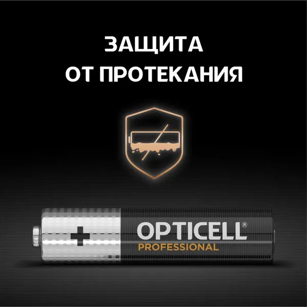 Комплект батареек Opticell Professional AAA 5052008