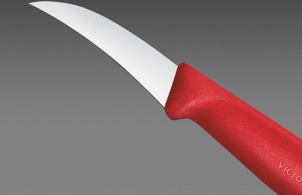 Нож Victorinox Swiss Classic 6.7501.C1