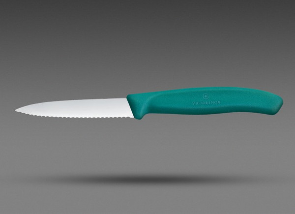 Нож Victorinox Swiss Classic 6.7634.C1