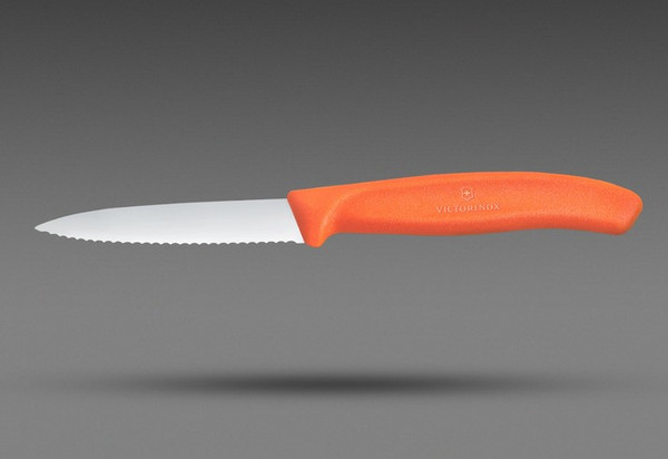 Нож Victorinox Swiss Classic 6.7639.C1