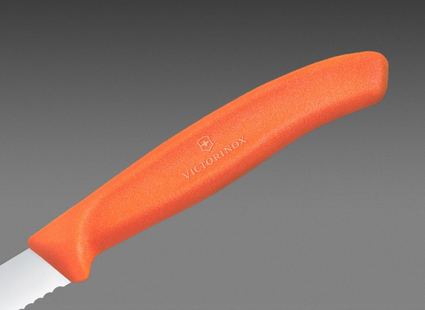 Нож Victorinox Swiss Classic 6.7639.C1