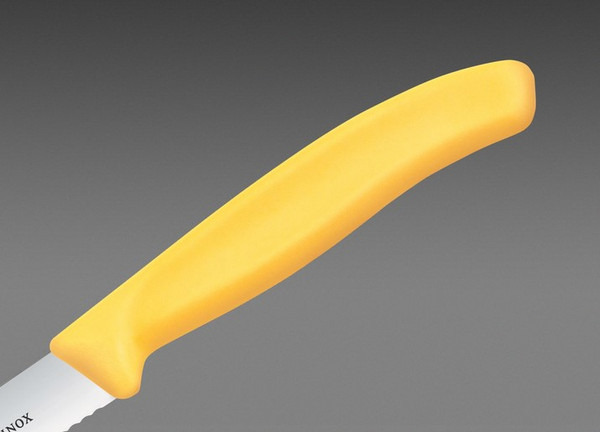 Нож Victorinox Swiss Classic 6.7738.C1