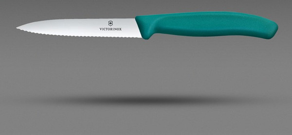 Нож Victorinox Swiss Classic 6.7734.C1