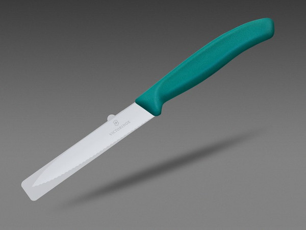 Нож Victorinox Swiss Classic 6.7734.C1