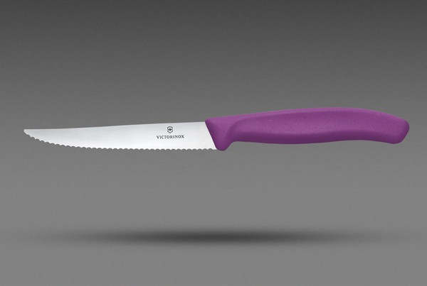 Нож Victorinox Swiss Classic 6.7235.C1