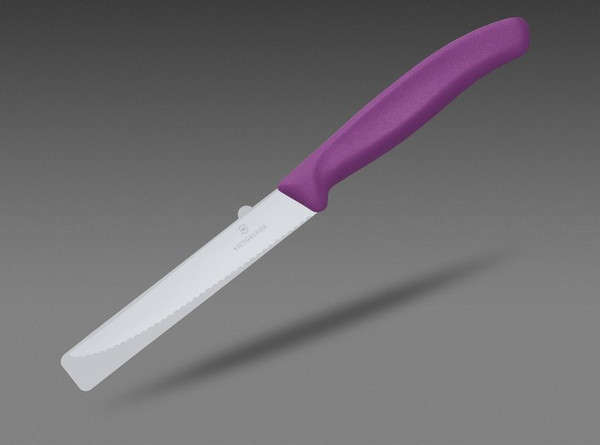 Нож Victorinox Swiss Classic 6.7235.C1