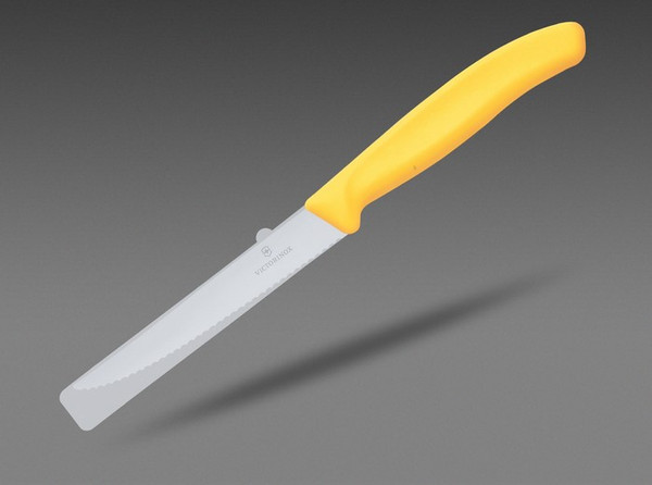 Нож Victorinox Swiss Classic 6.7238.C1