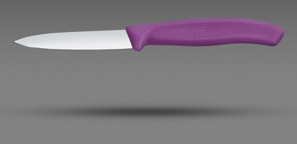 Нож Victorinox Swiss Classic 6.7605.C1