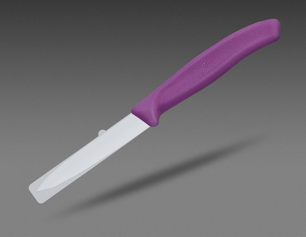 Нож Victorinox Swiss Classic 6.7605.C1