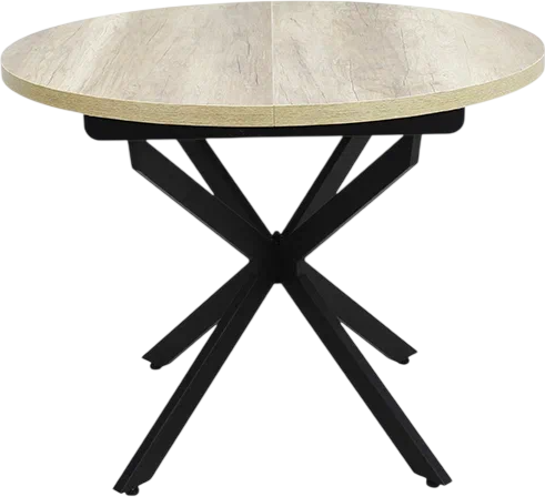 Обеденный стол Виста Парма-2 100x135 ВС/421 - фото