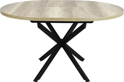 Обеденный стол Виста Парма-2 100x135 ВС/421